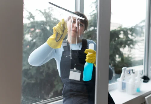 Nettoyage de vitres intérieures et extérieures à Lemmes